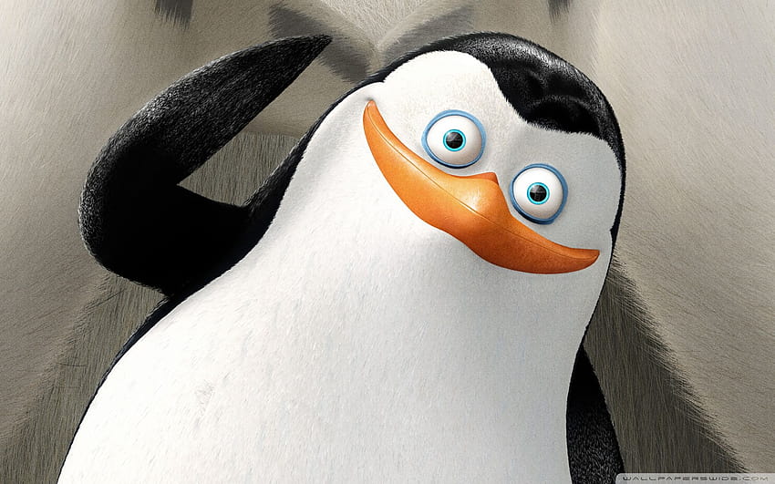 Private Penguins of Madagascar HD wallpaper