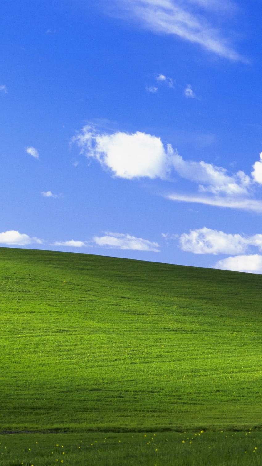 Bliss, 풍경, Windows XP, 주식, 자연, Windows XP Android HD 전화 배경 화면