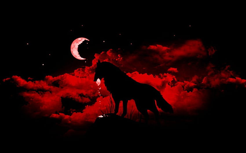 Blood Moon Wolf, loup sanglant Fond d'écran HD