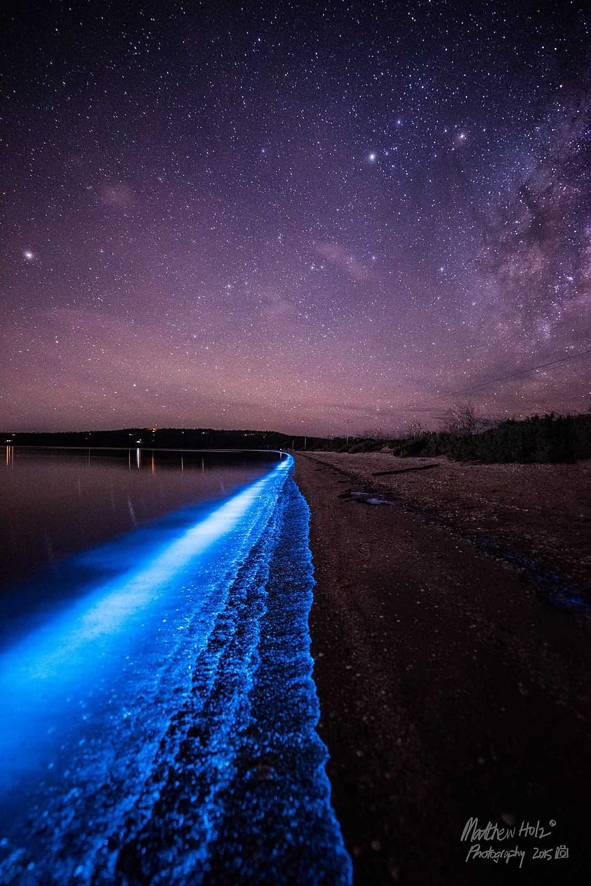 Spektakuläre Grafik Erfasst biolumineszierendes Plankton und Aurora, leuchtendes Plankton HD-Handy-Hintergrundbild