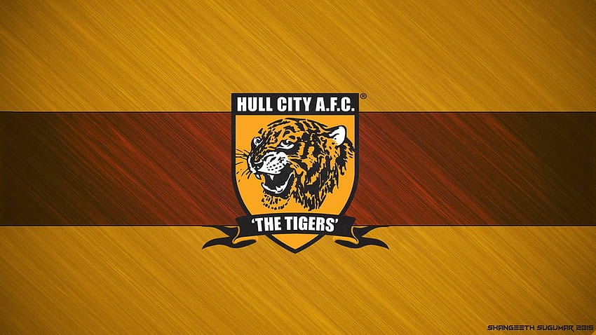 World Cup: Hull City FC HD wallpaper