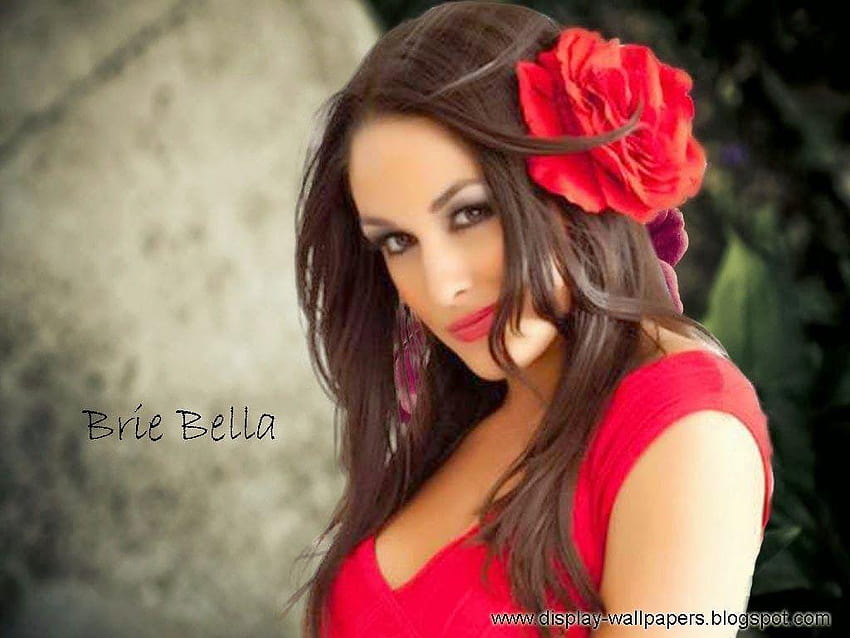 Brie Bella, Nikki Bella Tapeta HD