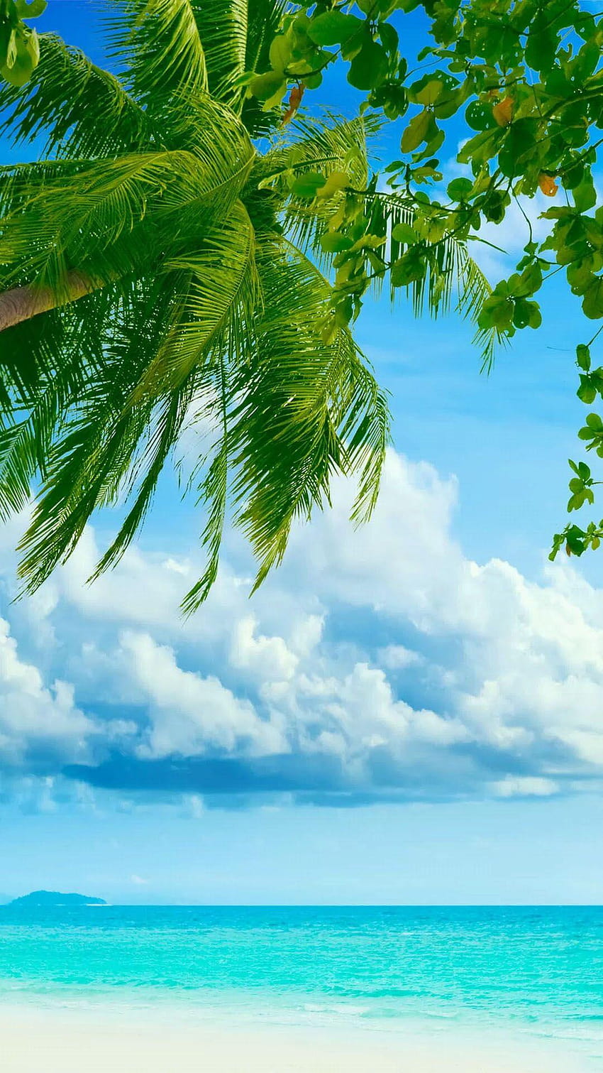 Tropical Beach Coconut Tree Android HD тапет за телефон