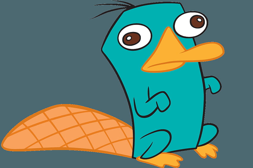 Perry The Platypus Group HD wallpaper