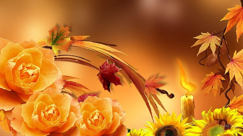 Flower: Living Buds Still Couch Pinks Table Colour White Vase, light golden colour HD wallpaper