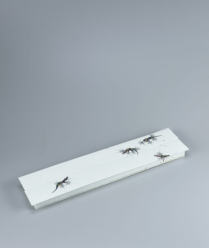 Rechteckige Schale mit großem Fuß mit Schlegels japanischem Gecko-Design., Schlegels japanischer Gecko HD-Handy-Hintergrundbild