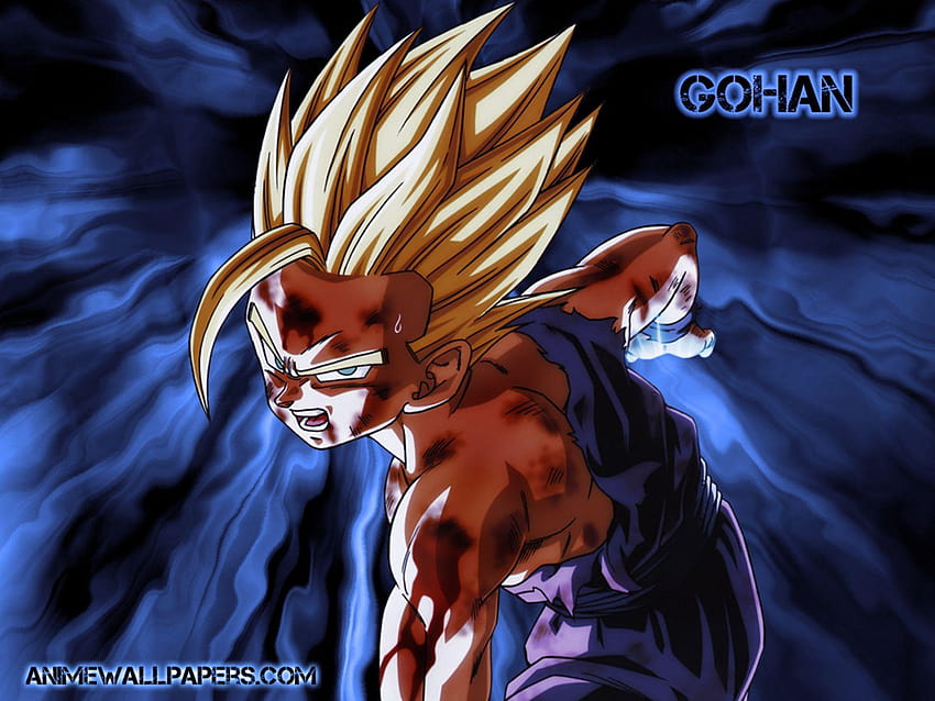 Best 2 SSJ2 on Hip, gohan ssj 2 HD wallpaper | Pxfuel