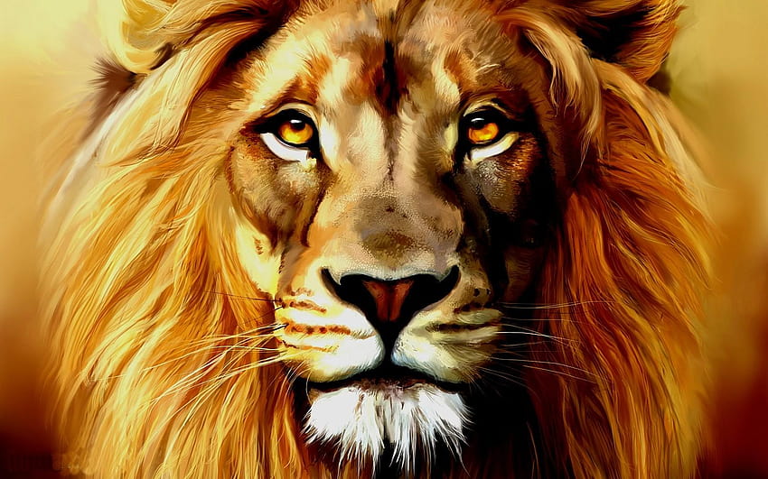 6 Lion Face, lion close up face angry HD wallpaper | Pxfuel