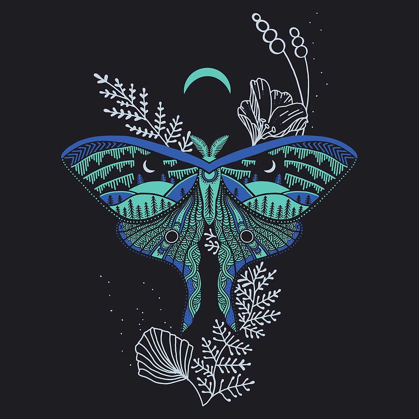 All sizes  Luna Moth Wallpaper for Widescreen Desktop  Flickr  Photo  Sharing