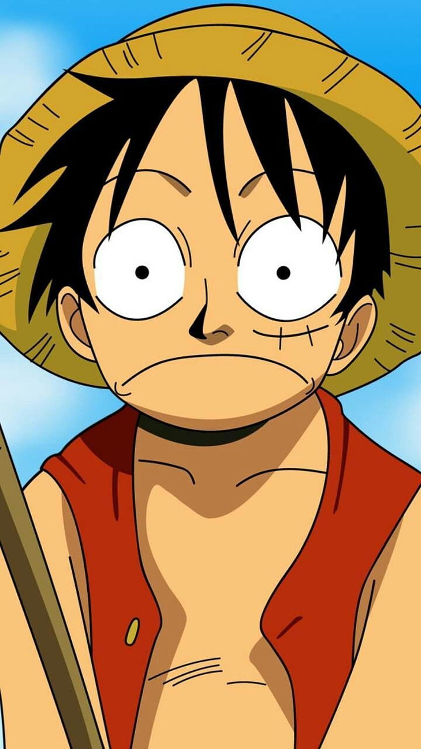 fotos do luffy engraçado