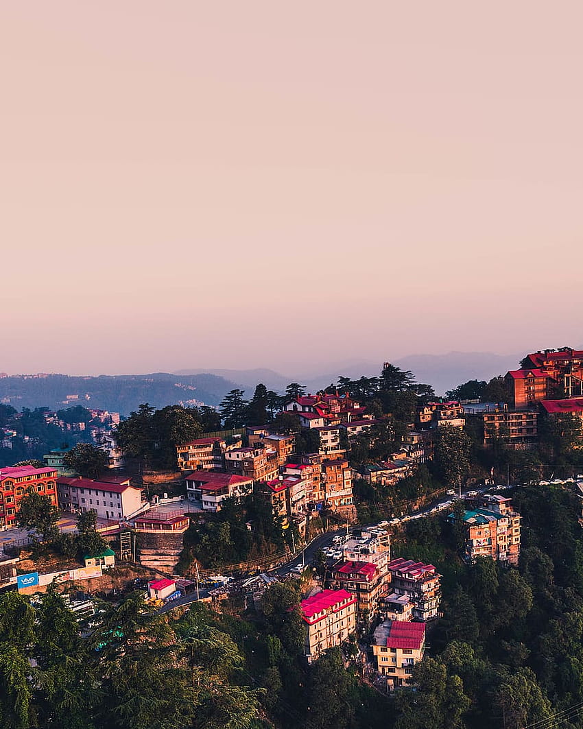 : india, shimla, trees, mountains, moody, buildings HD phone wallpaper