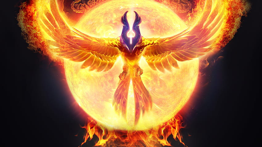 Phoenix: Lover on the Sun, anime phoenix HD wallpaper
