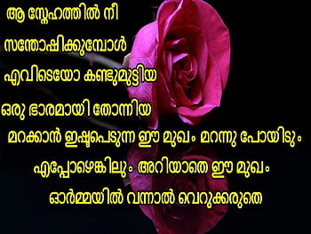 Malayalam quotes HD wallpapers | Pxfuel