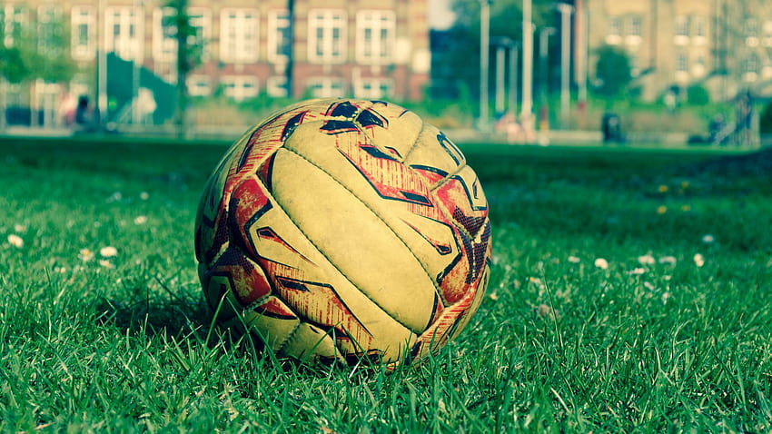 2560x1440 soccer ball, field, grass, lawn, soccer field anime HD wallpaper