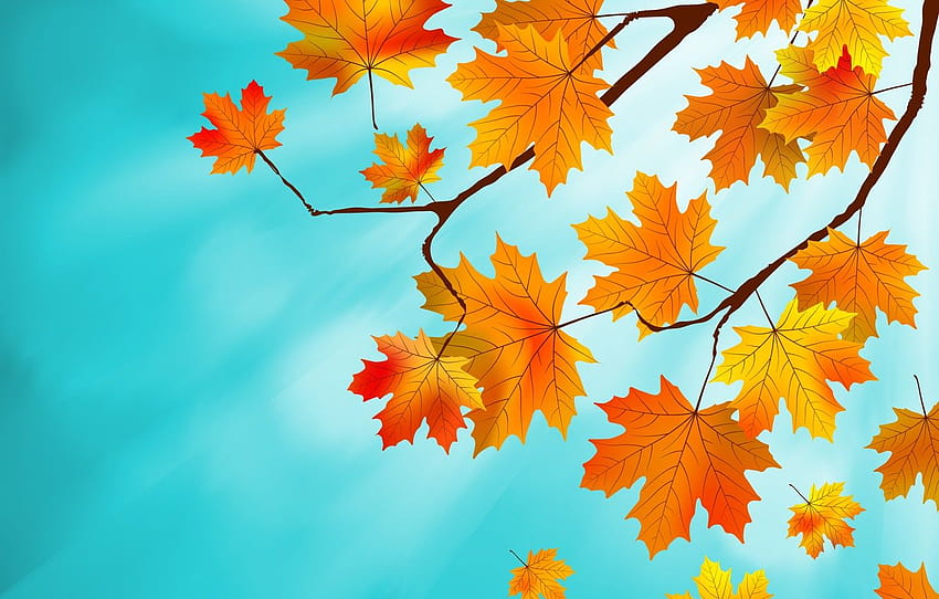 leaves, background, autumn, leaves, autumn, maple , section природа, autumn maple HD wallpaper