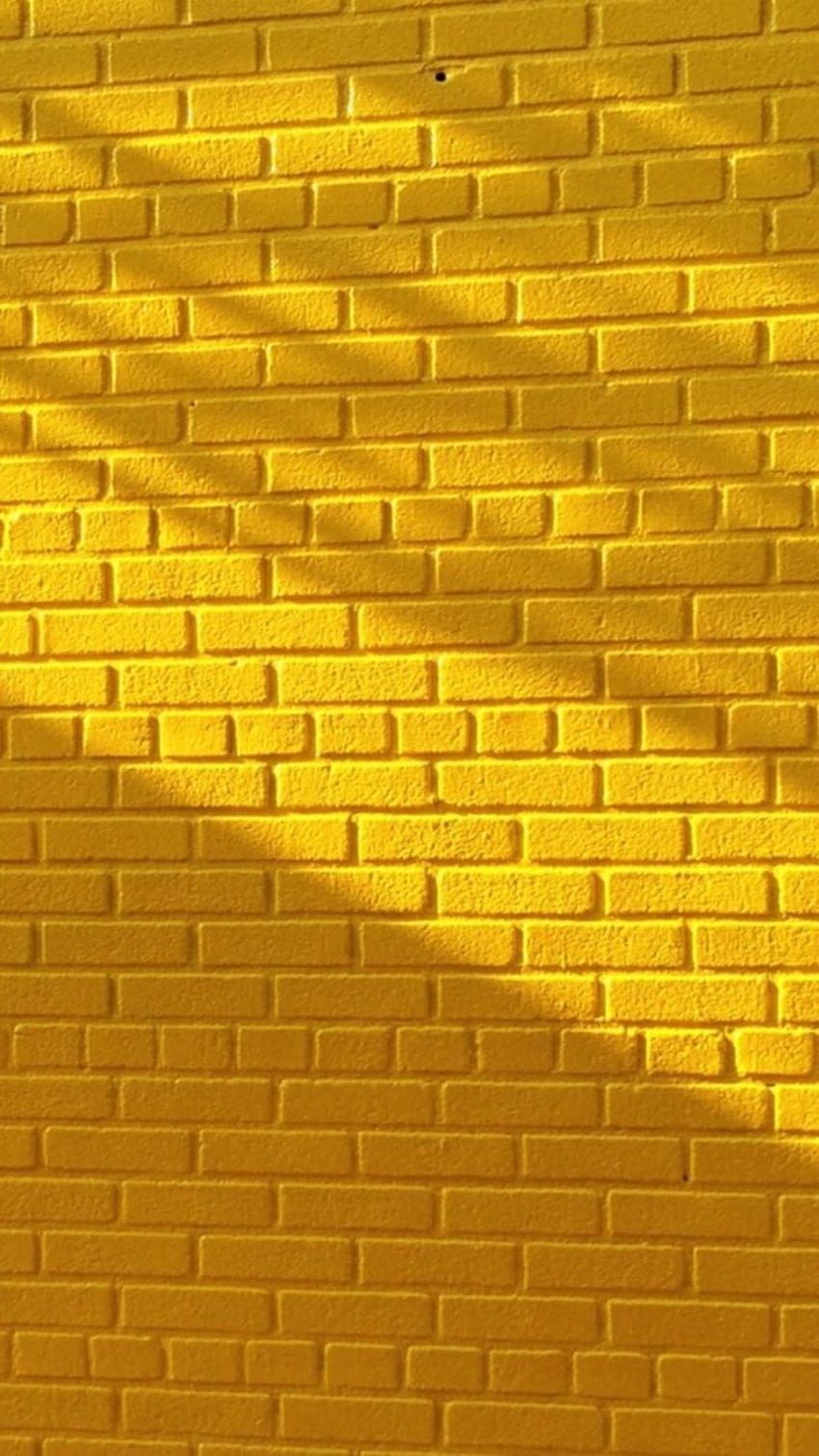 Aesthetic Cute Cerah, potret estetika cahaya kuning wallpaper ponsel HD