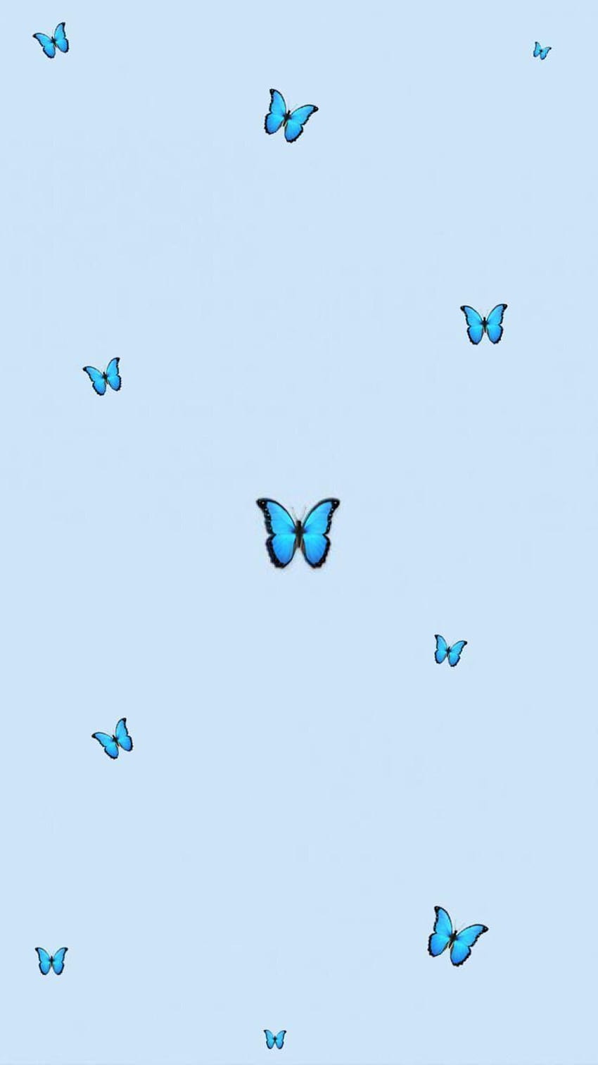 Blue butterfly ...pinterest, aesthetic baby blue HD phone ...