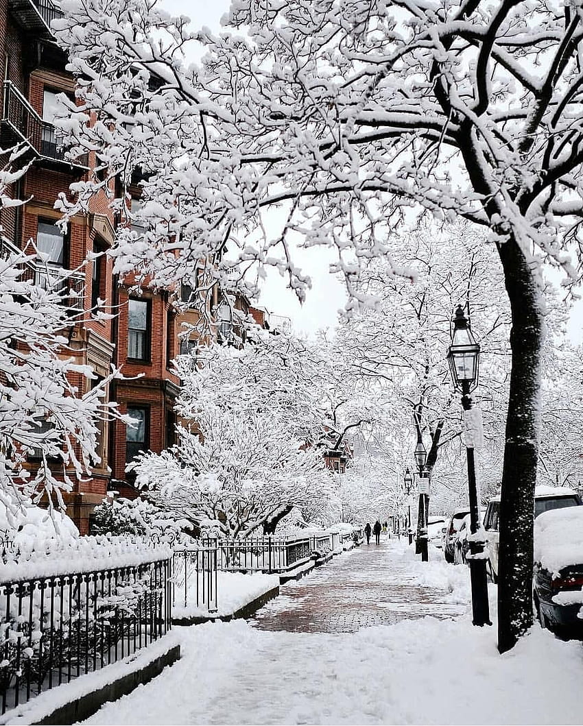 Winter portrait ❄️ Boston, Massachusetts, United States. by @kimmyn_, portrait winter HD phone wallpaper
