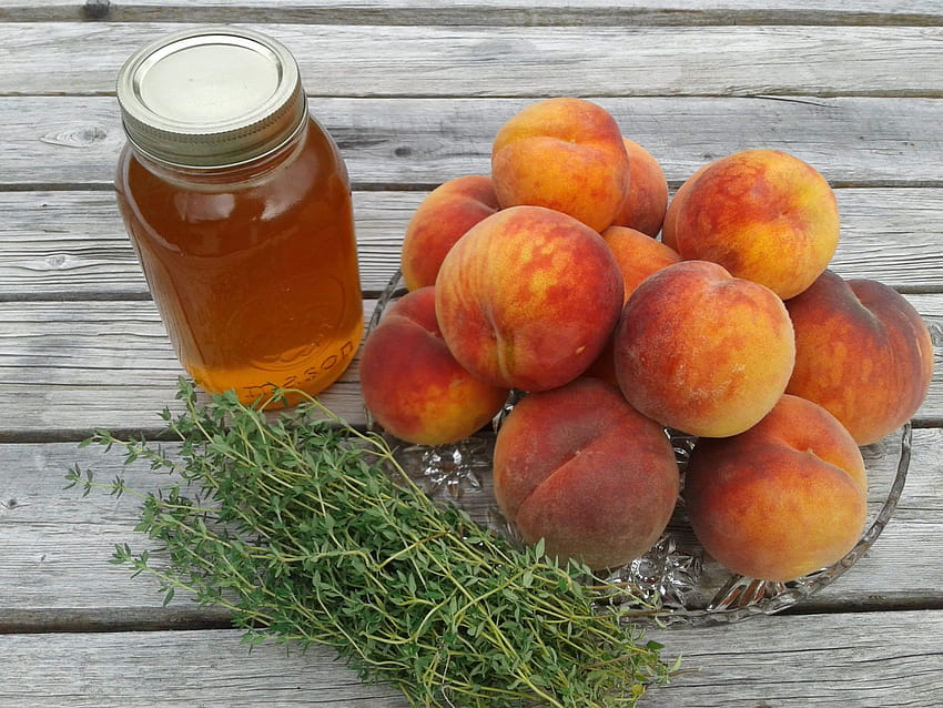 Broiled Glohaven Peaches with Thymed Honey, honey peaches HD wallpaper