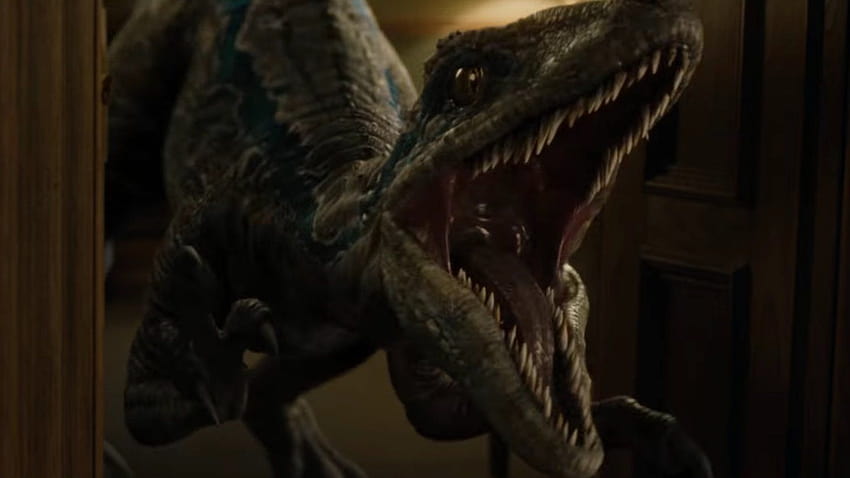 Blue and The Indoraptor Fight in TV Spot For JURASSIC WORLD: FALLEN KINGDOM  and There's a New Poster!, indoraptor vs blue HD wallpaper | Pxfuel