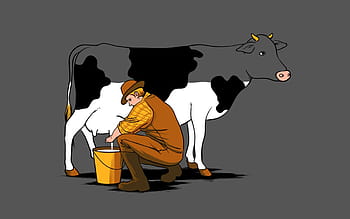 Page 2 | cow funny HD wallpapers | Pxfuel