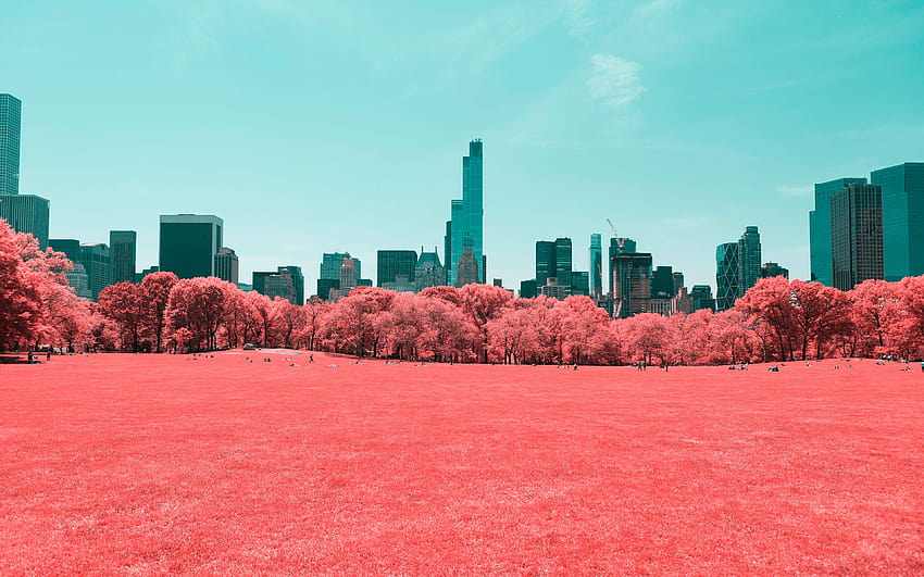 NYC Central Park Infrared Central, 샴페인, 센트럴 파크 스프링 HD 월페이퍼