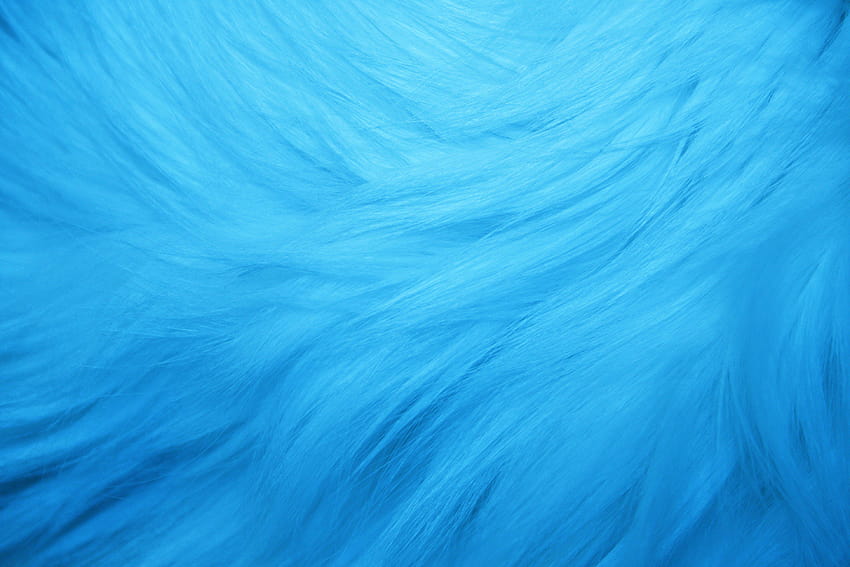 Light Blue Fur Texture HD wallpaper