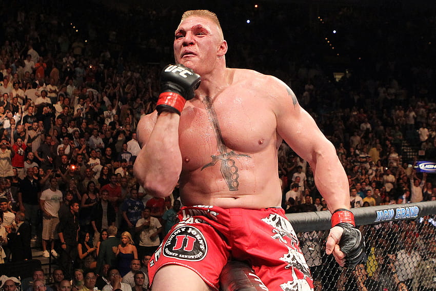 Brock Lesnar vs Mark Hunt: WWE star returns at UFC 200 for one HD wallpaper