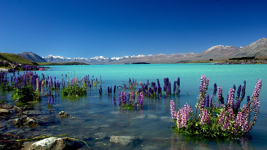 Lake Tekapo, New Zealand, mountains, Nature HD wallpaper