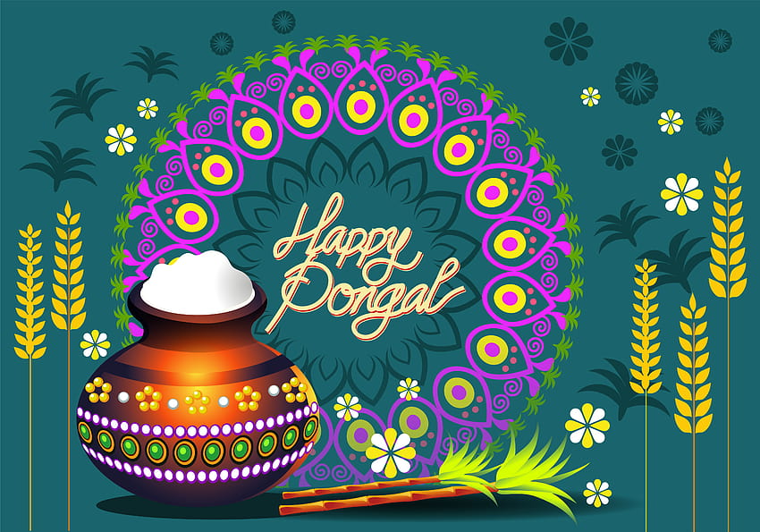Happy Pongal Festival Wishes Greetings Backgrounds HD wallpaper | Pxfuel