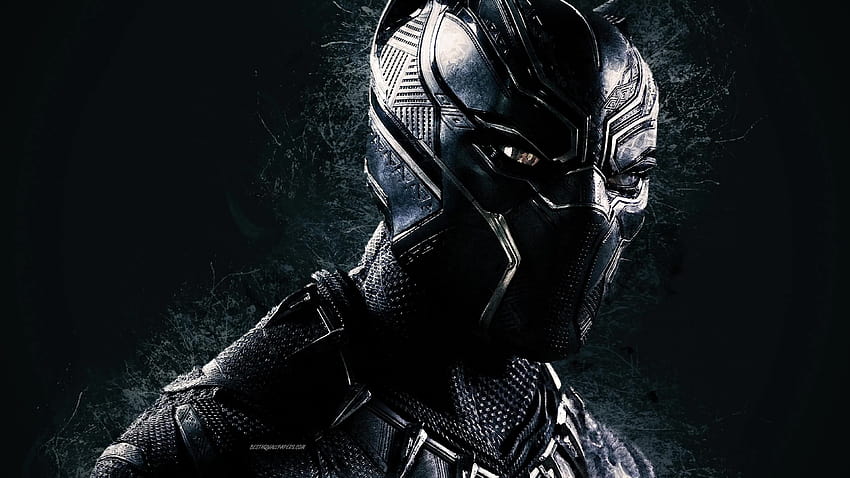 Marvel Black Panther Live, black panther pc HD wallpaper | Pxfuel