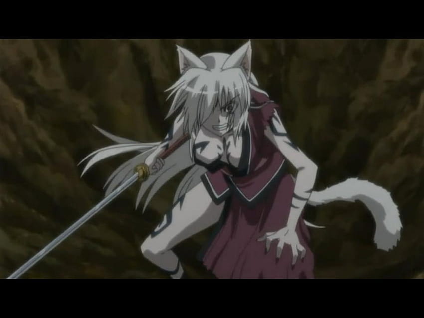 Demon Cat Anime Drawing Catgirl demon mammal fictional Character demons  png  PNGWing