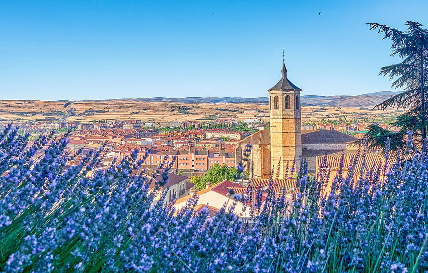 flowers, tree, building, tower, home, Church, panorama, Spain, lavender, Spain, the bell tower, Avila, Avila, Bell Tower, Church of Santiago, Church Of St. James , section город, church bell HD wallpaper