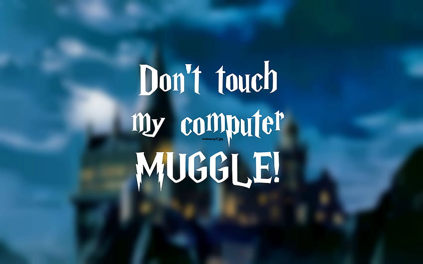 Harry Potter Don't Touch My Laptop on Dog, dont touch this chromebook HD  wallpaper | Pxfuel