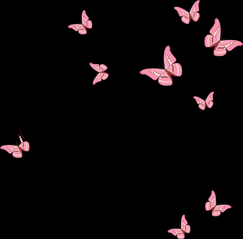 Épinglé sur Picsart Stickers, joli papillon rose bébé Fond d'écran HD
