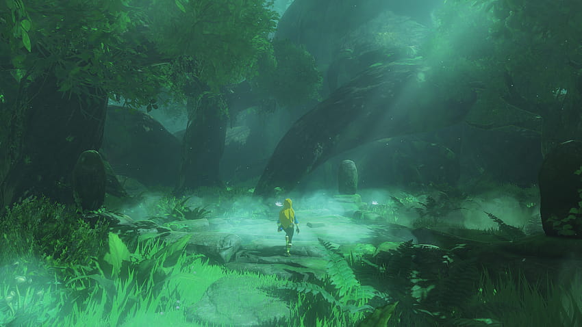 Zelda di hutan Korok : r/Breath_of_the_Wild Wallpaper HD