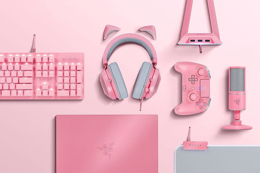 화려한 게이머 하드웨어에서 화끈하고 미적인 핑크 게이머 소녀로 진화한 Razer HD 월페이퍼