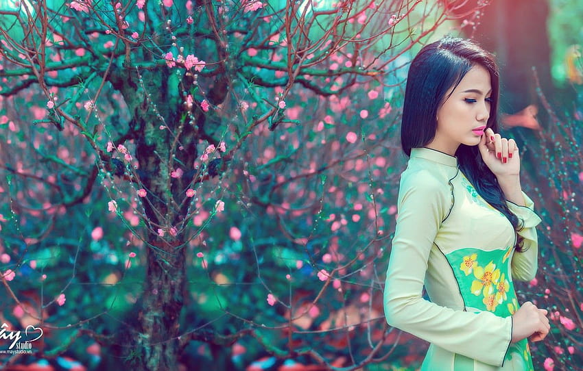 Vietnamese Woman, vietnam girl HD wallpaper