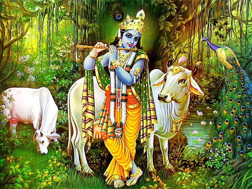 Cartel de Lord Krishna y vaca fondo de pantalla