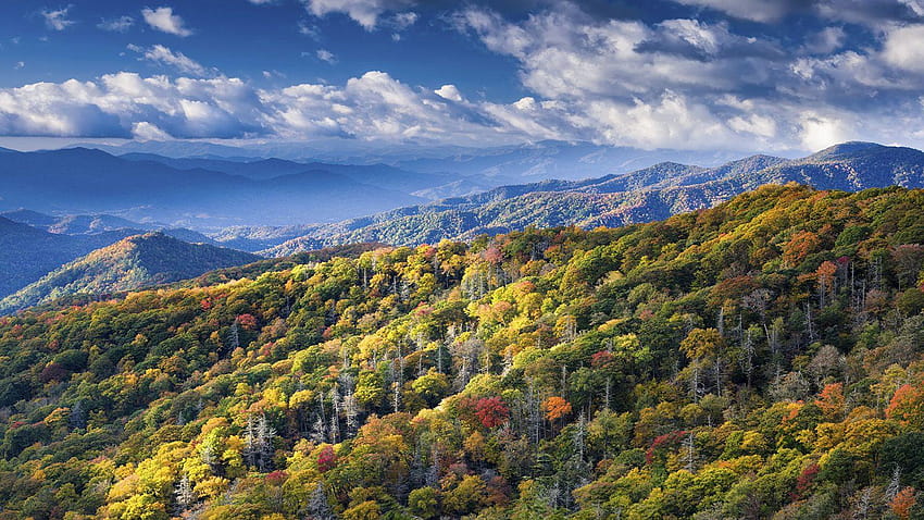 Great Smoky Mountains National Park HD wallpaper