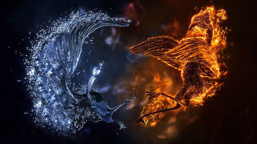 Fire Ice Birds in 1920x1080, pagan and screensavers for laptops HD wallpaper
