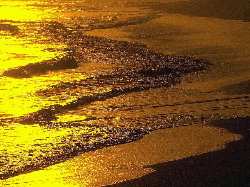 beach sunset sea gold, 1024x768, Golden Sea at sunset HD wallpaper