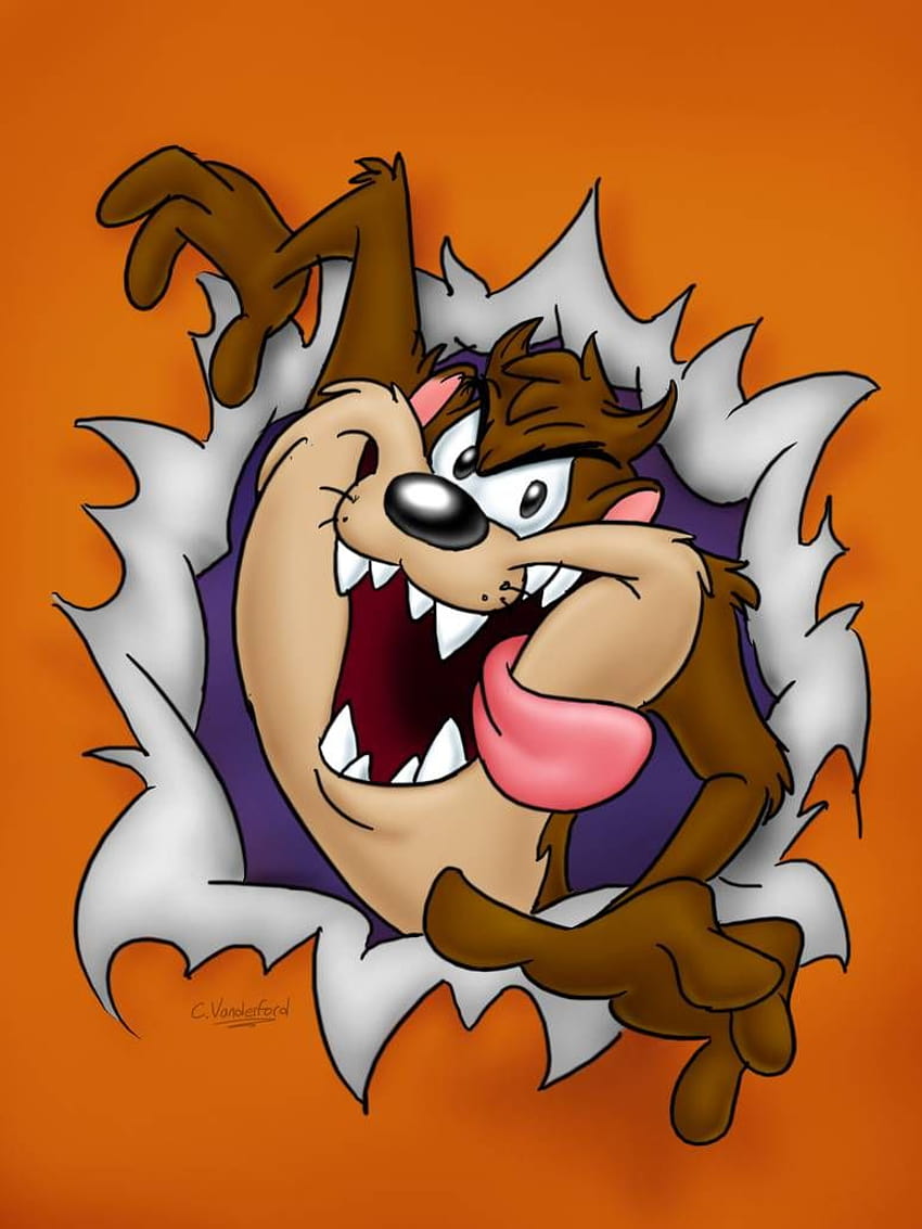 Pin on Tasmanian devil cartoon HD phone wallpaper