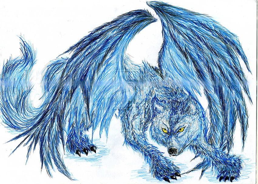 Blue anime wolf with wings HD wallpapers | Pxfuel