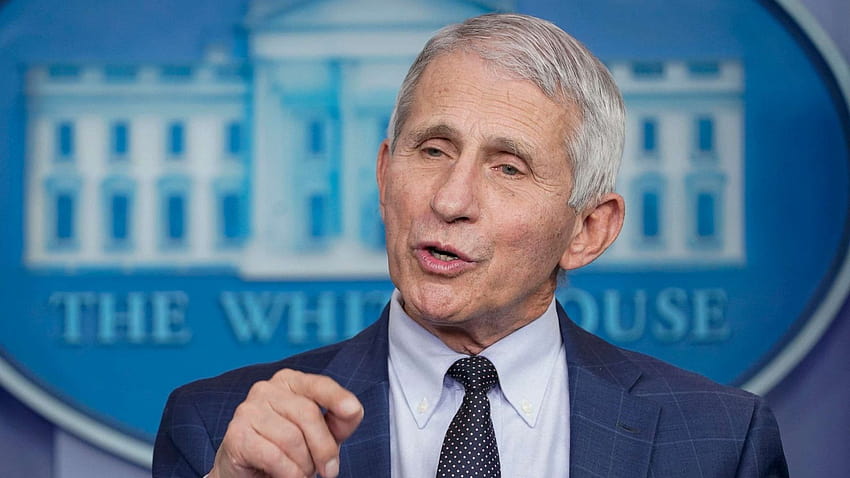 Fauci warns omicron cases 'likely will go much higher', anthony fauci HD wallpaper