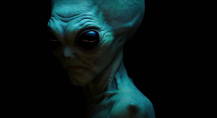 Temporada 10 de American Horror Story: Todo lo que sabemos, extraterrestre gris fondo de pantalla