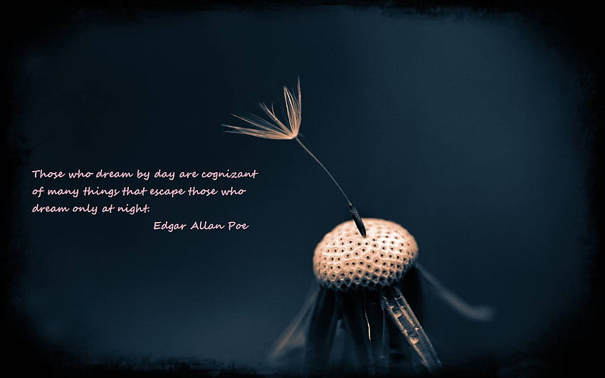 Edgar Allan Poe, poet HD wallpaper
