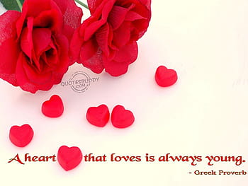 beautiful love quotation wallpapers