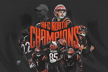 afc north champions by year