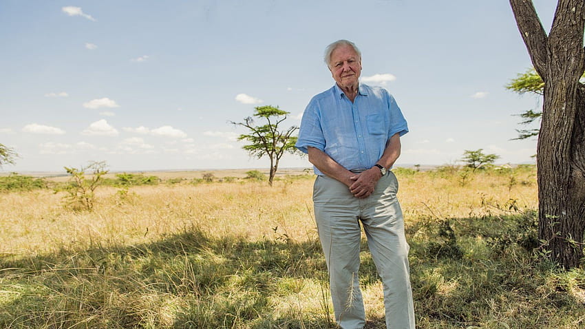 Crítica do filme David Attenborough: A Life on Our Planet : David Attenborough quer salvar o mundo em novo filme papel de parede HD